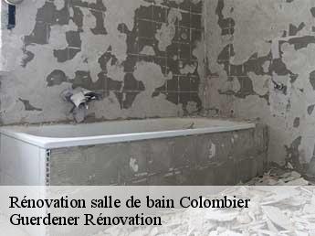 Rénovation salle de bain colombier-2013 Guerdener Rénovation