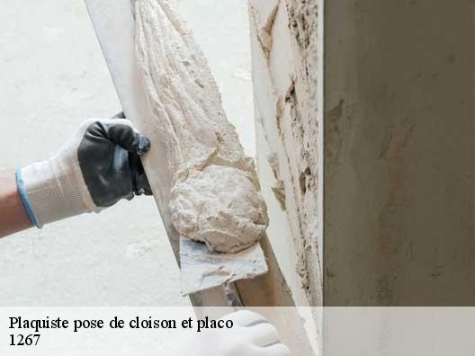 Plaquiste pose de cloison et placo 1267