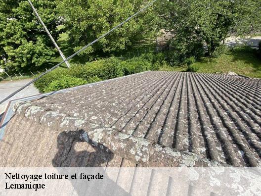 Nettoyage toiture et façade Lemanique