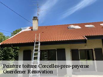Peinture toiture corcelles-pres-payerne-1562 Guerdener Rénovation