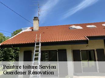 Peinture toiture  servion-1077 Guerdener Rénovation 