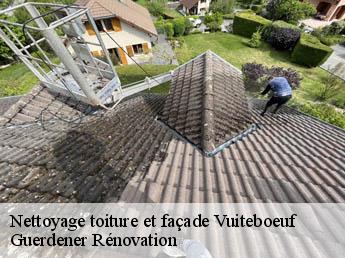 Nettoyage toiture et façade vuiteboeuf-1445 Guerdener Rénovation