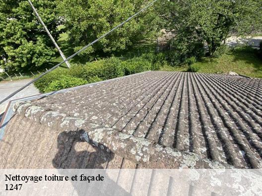 Nettoyage toiture et façade 1247