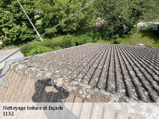 Nettoyage toiture et façade 1132