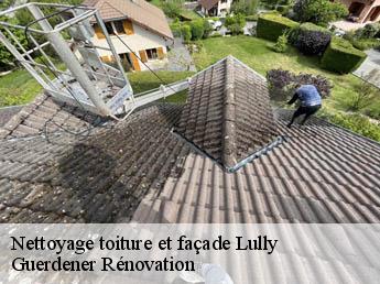 Nettoyage toiture et façade lully-1132 Guerdener Rénovation