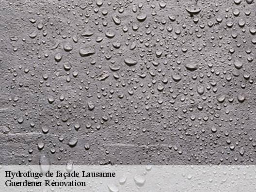 Hydrofuge de façade  lausanne-1018 Guerdener Rénovation 
