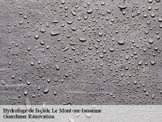 Hydrofuge de façade  le-mont-sur-lausanne-1052 Guerdener Rénovation 