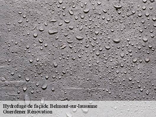 Hydrofuge de façade  belmont-sur-lausanne-1092 Guerdener Rénovation 