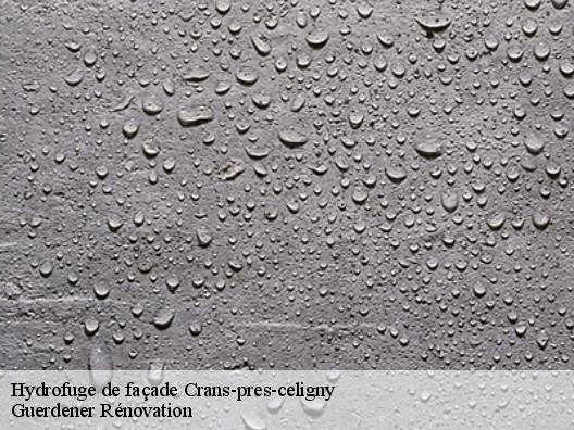 Hydrofuge de façade  crans-pres-celigny-1299 Guerdener Rénovation 