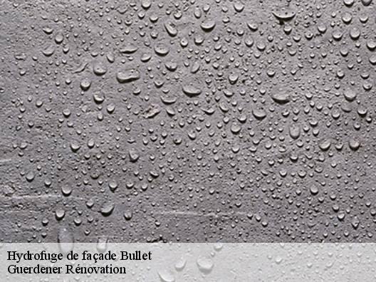 Hydrofuge de façade  bullet-1453 Guerdener Rénovation 