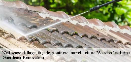 Nettoyage dallage, façade, gouttiere, muret, toiture  yverdon-les-bains-1400 Guerdener Rénovation 