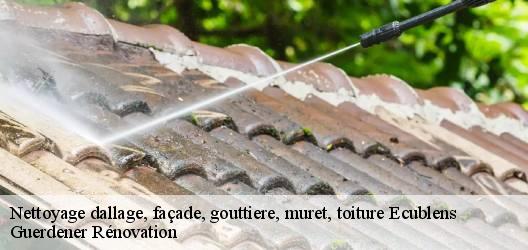 Nettoyage dallage, façade, gouttiere, muret, toiture  ecublens-1024 Guerdener Rénovation 