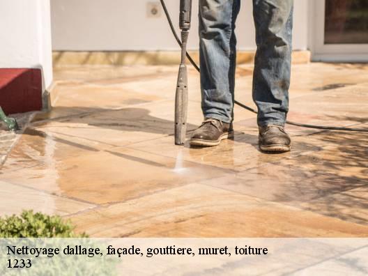 Nettoyage dallage, façade, gouttiere, muret, toiture 1233