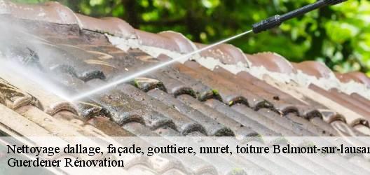 Nettoyage dallage, façade, gouttiere, muret, toiture  belmont-sur-lausanne-1092 Guerdener Rénovation 
