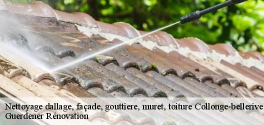 Nettoyage dallage, façade, gouttiere, muret, toiture  collonge-bellerive-1245 Guerdener Rénovation 