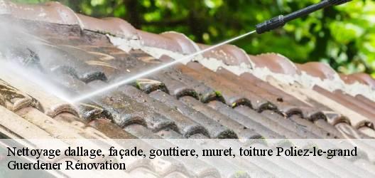 Nettoyage dallage, façade, gouttiere, muret, toiture  poliez-le-grand-1041 Guerdener Rénovation 