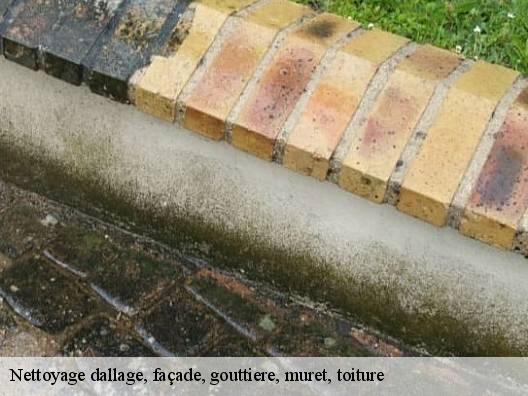 Nettoyage dallage, façade, gouttiere, muret, toiture