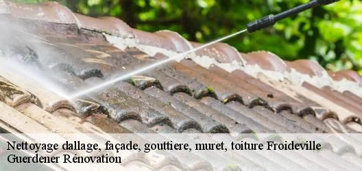 Nettoyage dallage, façade, gouttiere, muret, toiture  froideville-1055 Guerdener Rénovation 