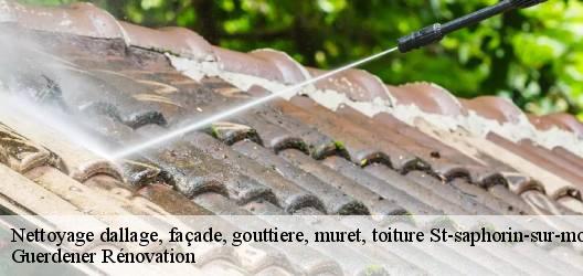 Nettoyage dallage, façade, gouttiere, muret, toiture  st-saphorin-sur-morges-1113 Guerdener Rénovation 