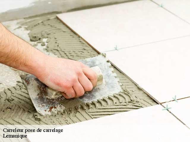 Carreleur pose de carrelage Lemanique 