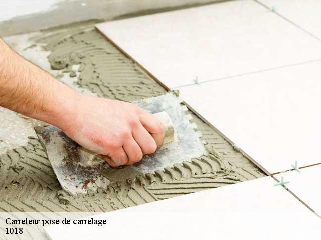 Carreleur pose de carrelage  1018