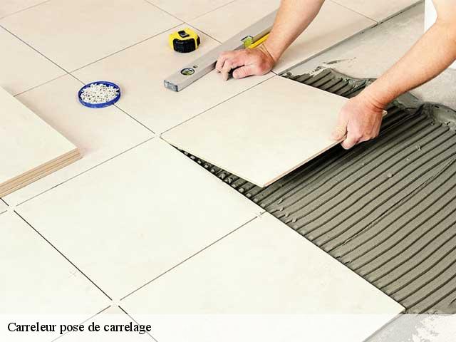 Carreleur pose de carrelage